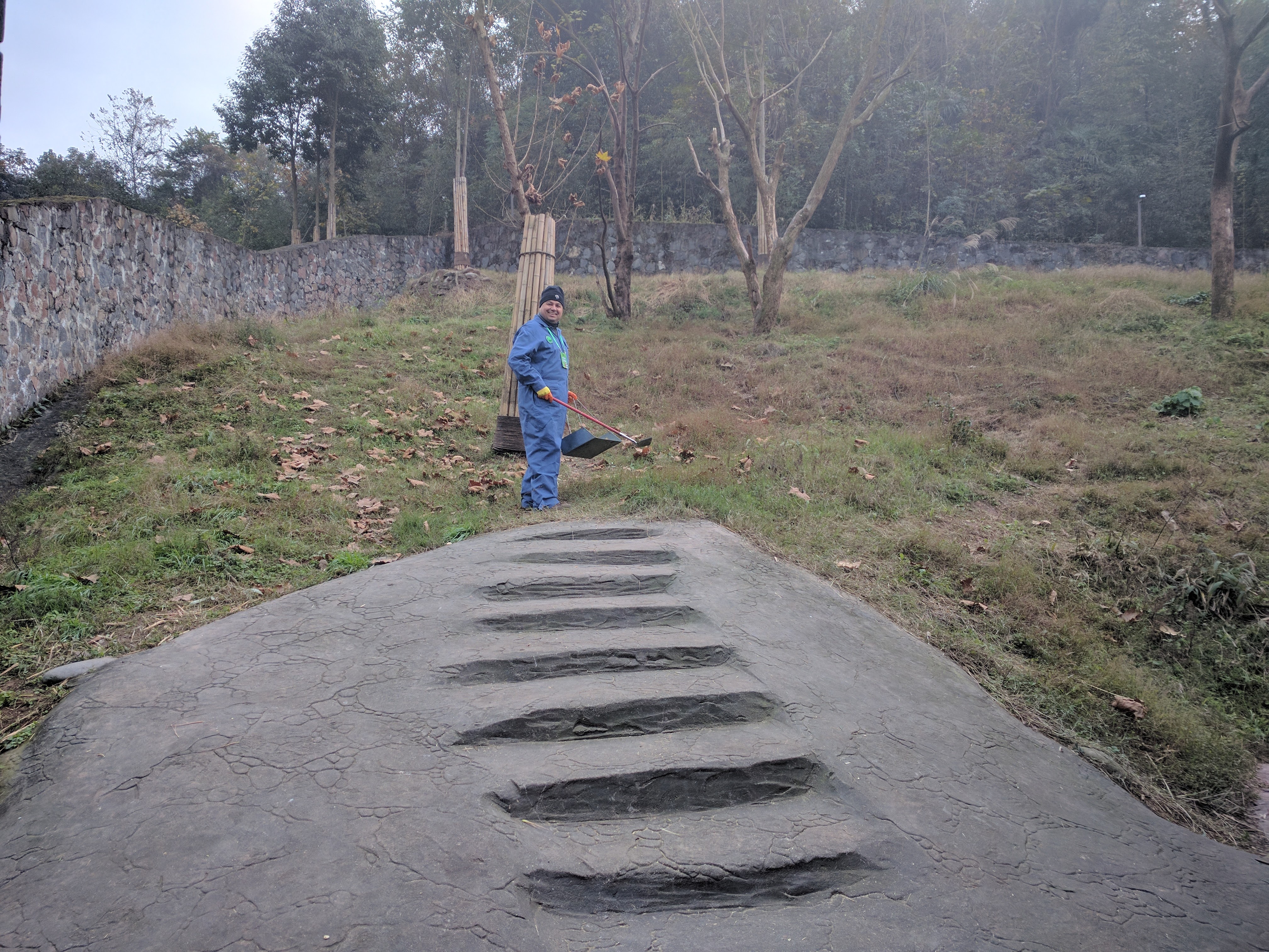 IMG_20161129_091110 - Copy