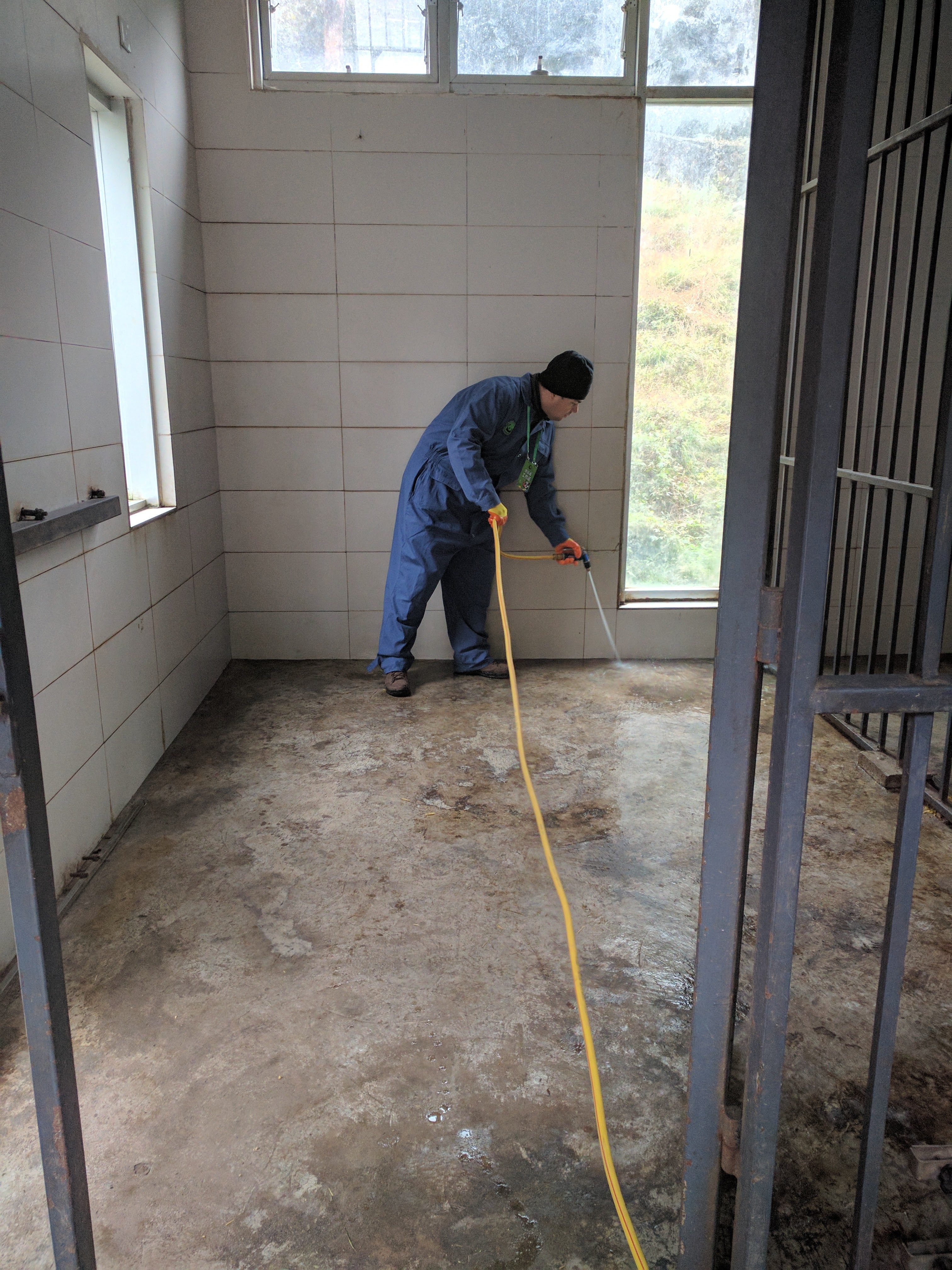 IMG_20161129_092229 - Copy