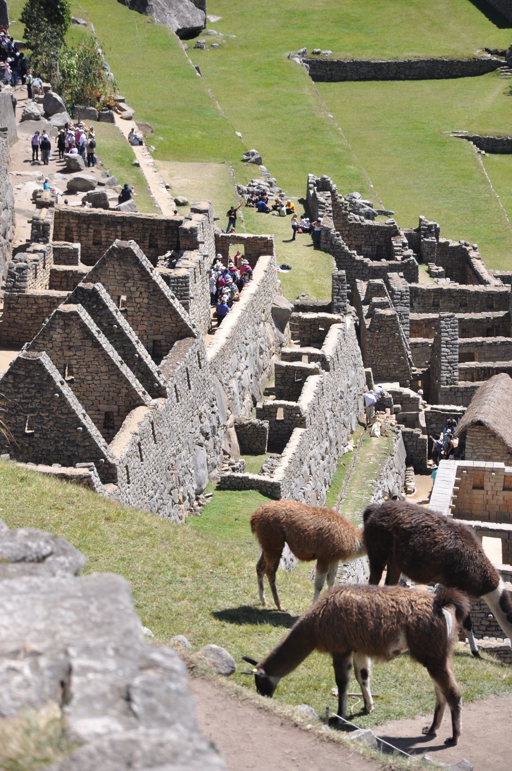 043017_0044_Theroadtoth7