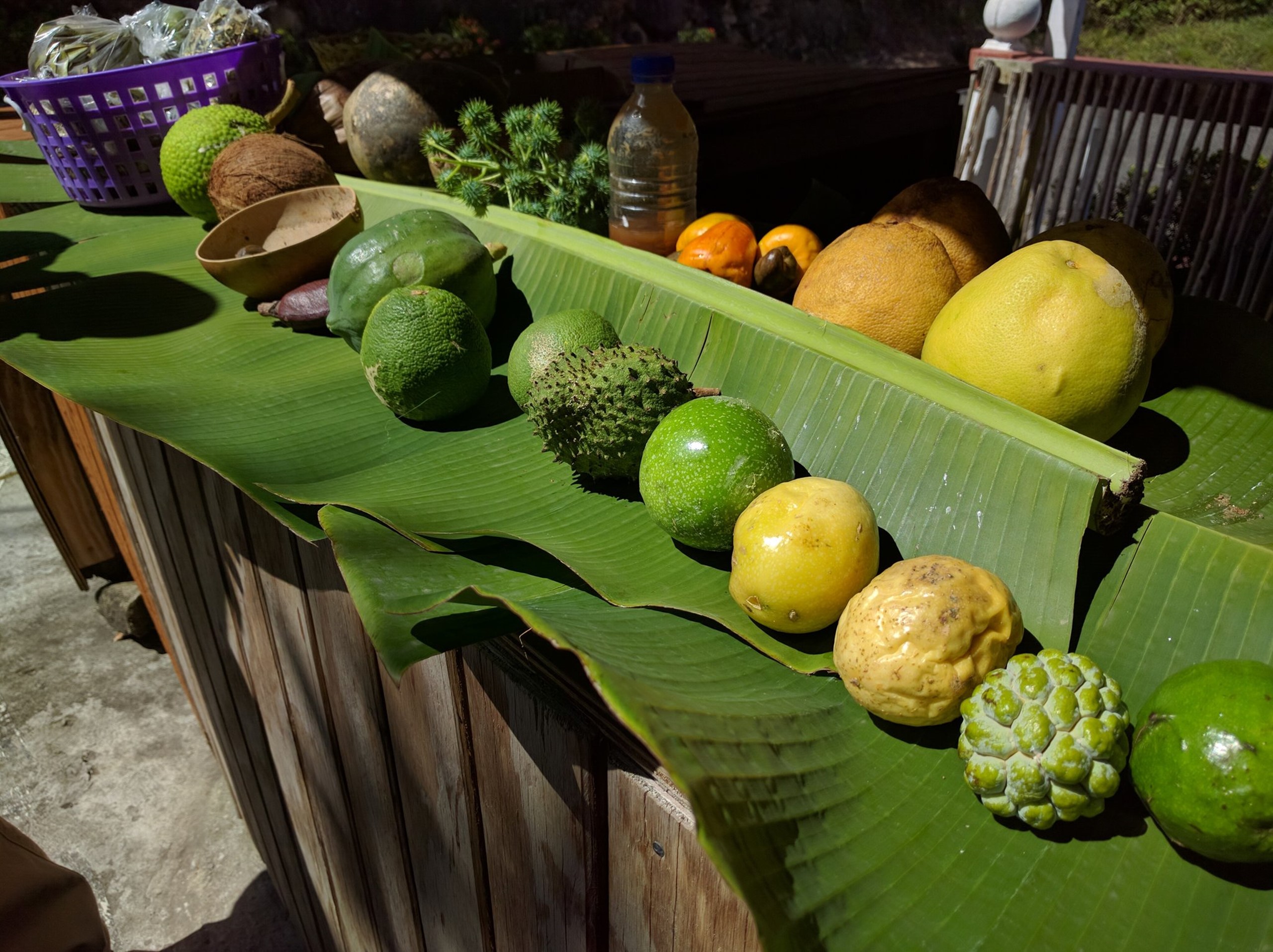 043017_0118_StLuciaaje2