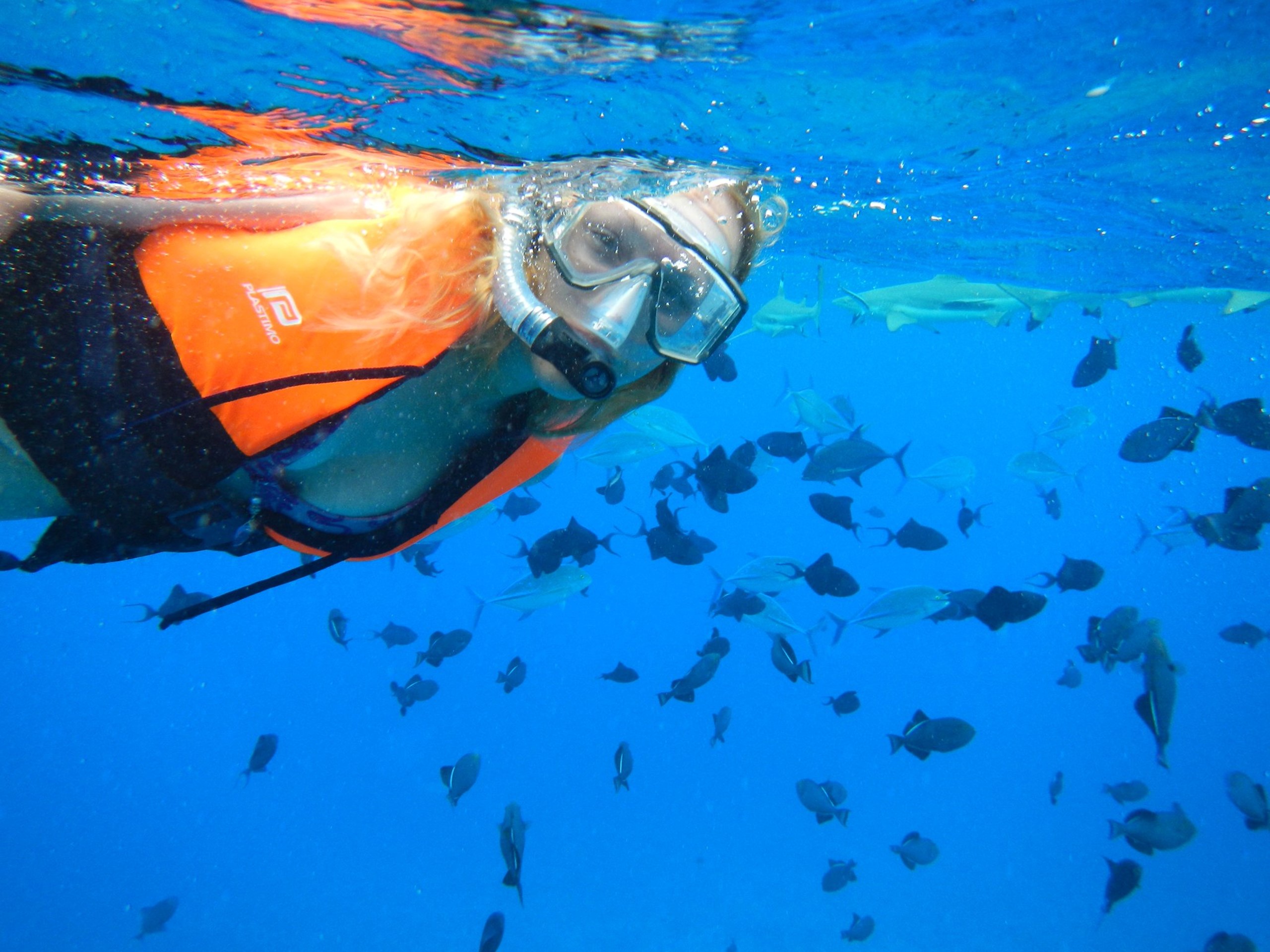 043017_0149_ThePearloft6