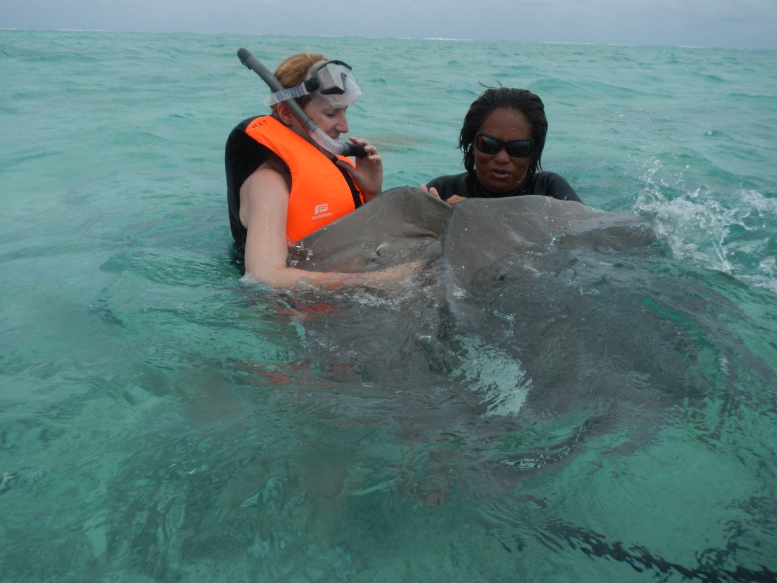 043017_0149_ThePearloft7