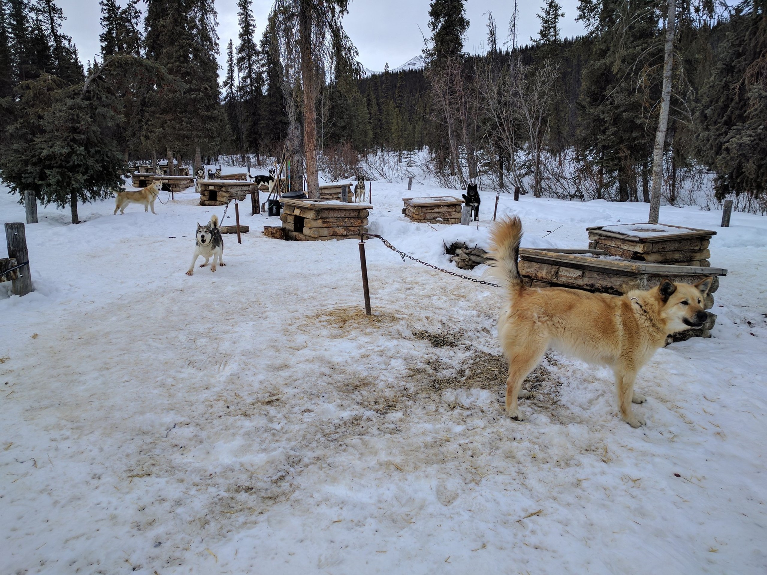 050117_0049_Alaskathema3