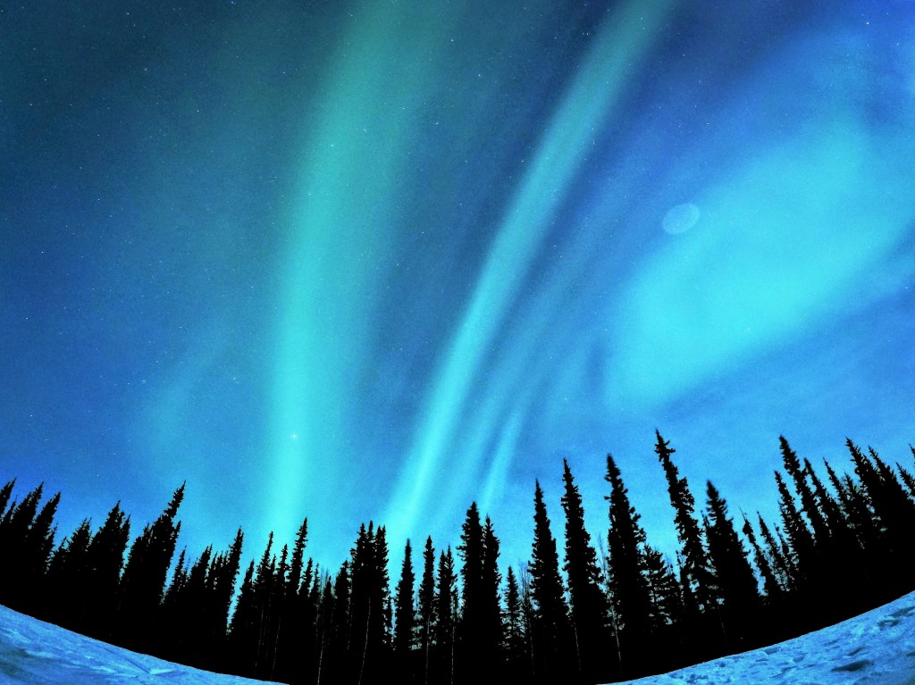 Alaska, the magnificent and captivating spirit of the frozen&nbsp;tundra