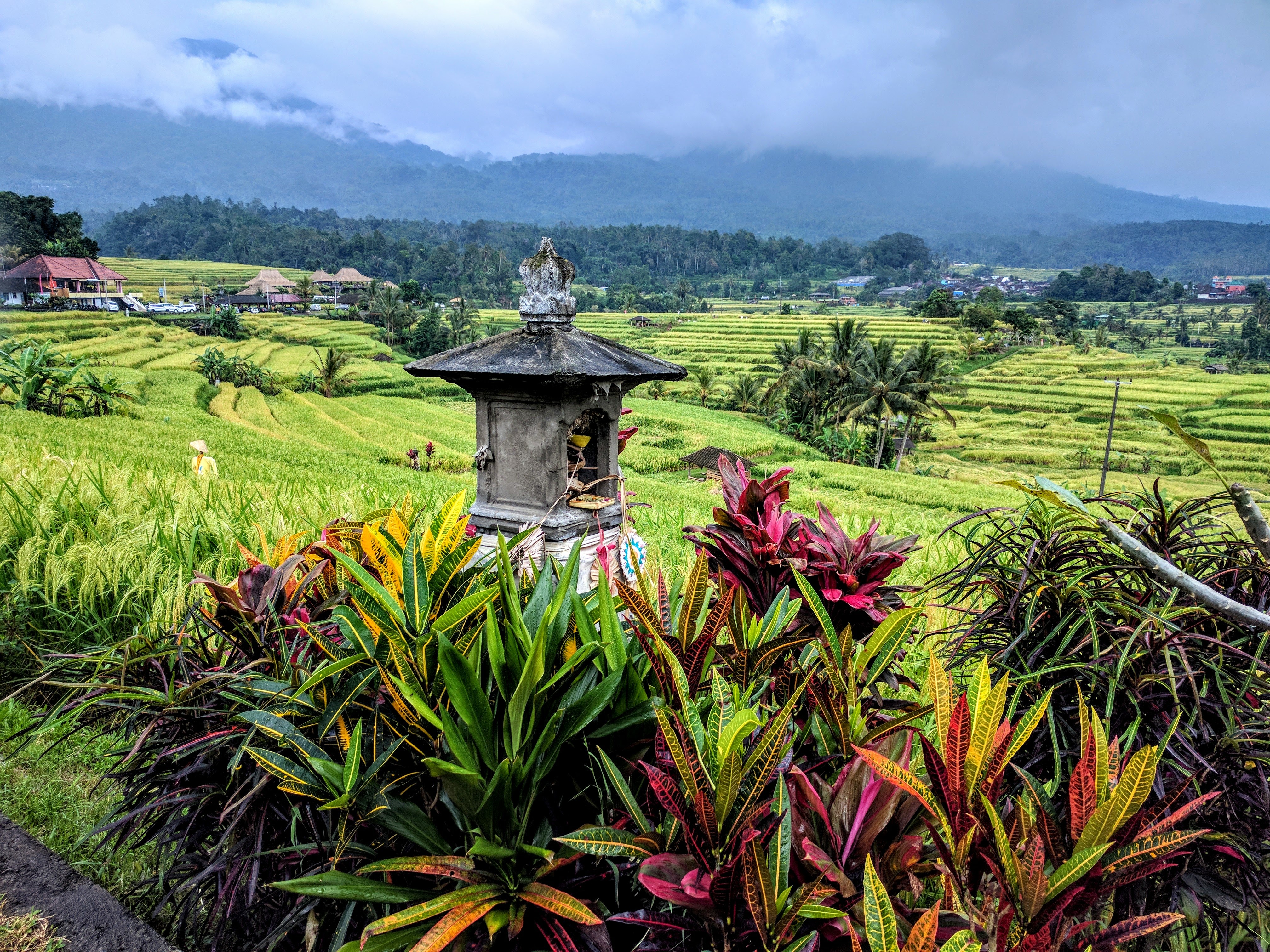 Small pagoda and flowers overlooking the The Jatiluwih rice terraces in Bali